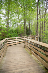 Naklejka na ściany i meble wooden bridge in the woods