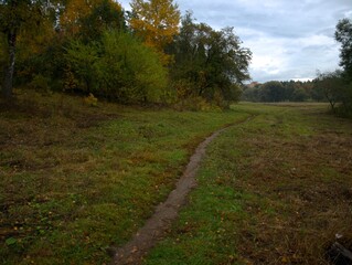 path in the autumn forest