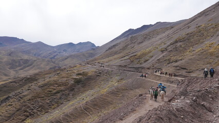Fototapeta na wymiar La montagne arc-en-ciel et ses montagnes colorées voisines, hautes, vertigineuses, avec du monde et quelques lamas, coin touristique et vue magnifique et naturelle du Pérou, glacier