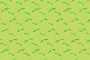 Plant pattern