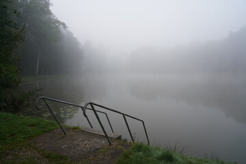 leśne, zamglone jezioro jesienią
