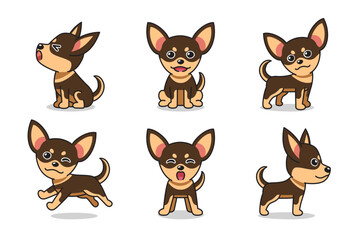 Vector cartoon set of chihuahua dog for design.