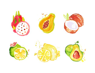 Set of hand drawn watercolor exotic fruit. Lemon, coconut, guava, feijoa tropical fruits vector illustration