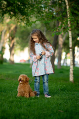 A cute little girl on a walk with toy poodle dog. It's spring outside. The girl is dressed in a blue cloak in a flower and jeans. She has long wavy hair. Childhood. Stroll.