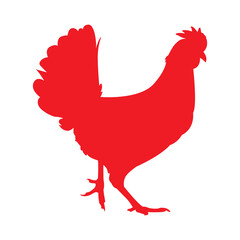 rooster logo best seller vector