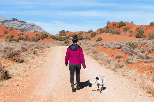 Young woman and her pit bull terrier or pitbull dog walking together along a stone hiking trail in the hills of red clay dirt and soil on a sunny day with selective focus to blur the desert terrain