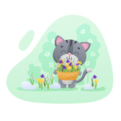 Spring poster with cute gray kitty, cat with a straw basket of first flowers, snowdrops, crocuses. Vector illustration for postcard, banner, web, design, arts. 