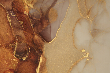 Art Abstract watercolor alcohol ink flow blot painting. Gold and beige Color canvas marble texture...