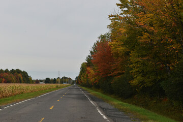 La Plaine 1 Octobre 2022