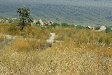 Fototapeta premium A path leading to the sea. Rocky coast of the Sea of Azov.
