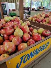 apples in a market