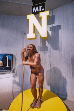 22 July 2022, Neanderthal museum, Germany: Detailed wax figure of Neanderthal prehistoric caveman with spear in the museum. Human Sapiens anthropology science and theory of Evolution