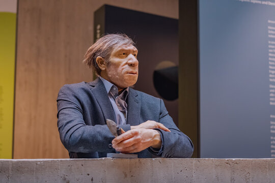 22 July 2022, Neanderthal museum, Germany: Wax figure of a Neanderthal man dressed in a suit as a businessman