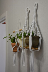 flowers on the wall in macrame hangers