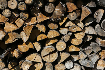 Log trunks pile, the logging timber forest wood industry. Sawn trees from the forest. Heavy wood trunks. 