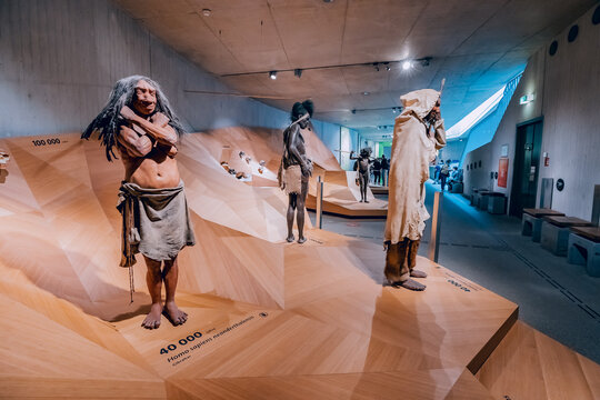 22 July 2022, Neanderthal museum, Germany: Detailed wax figures of Neanderthal and a prehistoric caveman in the museum. Homo Sapiens anthropology science and theory of Evolution