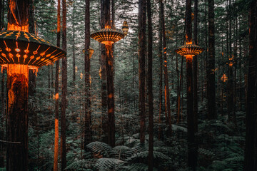 wooden lampposts hanging from trees illuminated with warm light at sunset in lush forest, redwood...