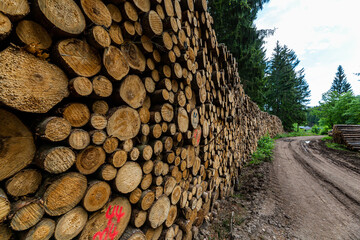 Log trunks pile, the logging timber forest wood industry. Sawn trees from the forest. Heavy wood trunks. 