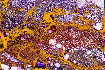 Mesh of various colors and golden dust filled lines on Alcohol ink fluid abstract texture fluid art with gold glitter and liquid.