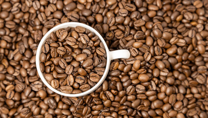 A cup of coffee is full of coffee beans. White cup and roasted coffee beans top view.