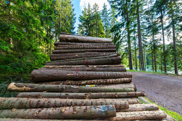 Log trunks pile, the logging timber forest wood industry. Sawn trees from the forest. Heavy wood trunks. 