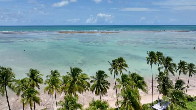 Sand Patacho Beach At Sao Miguel Dos Milagres Alagoas Brazil. Beach Life Waterside Landscape. Seascape Coastline. South America Sea Aerial Landscape.