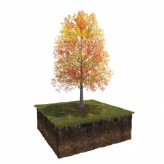 Autumn tree and soil cut under it. Isolated garden element, 3D illustration, cg render