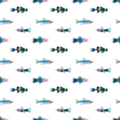 Fototapeta premium Watercolor white aquarium fishes seamless pattern illustration, colorful animal, sea, lake clipart, Nautical, ocean drawing, nursery hand-painted fish design, fabric,gift wrap,scrapbooking,wallpaper