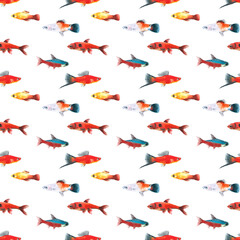 Fototapeta premium Watercolor white aquarium fishes seamless pattern illustration, colorful animal, sea, lake clipart, Nautical, ocean drawing, nursery hand-painted fish design, fabric,gift wrap,scrapbooking,wallpaper