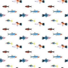 Watercolor white aquarium fishes seamless pattern illustration, colorful animal, sea, lake clipart, Nautical, ocean drawing, nursery hand-painted fish design, fabric,gift wrap,scrapbooking,wallpaper