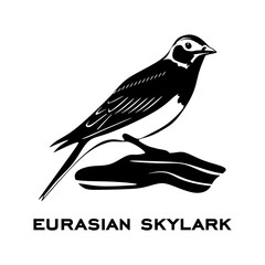 Eurasian skylark logo isolated on white background. Bird sign. Eurasian skylark silhouette. Minimalist bird icons vector illustration
