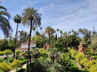 Fototapeta na wymiar Real Alcazar Gardens in Seville, Spain