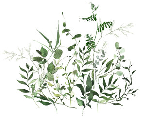 Watercolor painted greenery arrangement on white background. Green wild meadow plants, branches, leaves and twigs.