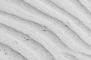 Fototapeta na wymiar Różne formy piasku na morskiej plaży ukształtowane przez fale i wiatr.