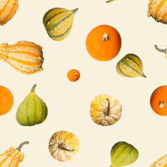Cute different decorative colorful pumpkins autumn pattern