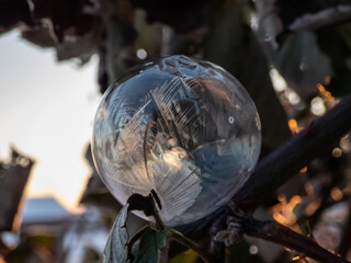 Macro of round, frozen soap bubble forming beautiful leaf and tree like pattern while freezing in...