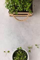 Microgreens in a wooden box and a white bowl on a light gray background