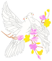 two doves on a flowering branch for valentine's day