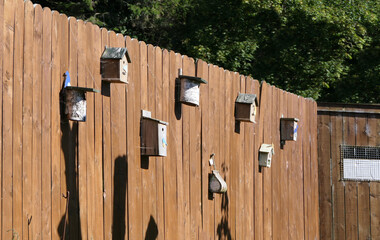 Bird Boxes house hanging on wooden fence