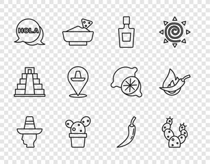 Set line Mexican man sombrero, Cactus, Tequila bottle, or succulent in pot, Hola, Hot chili pepper pod and icon. Vector © vector_v
