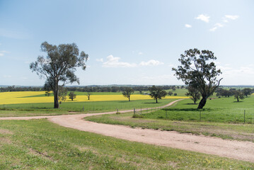 Scenic rural areas point view in regional Australia of Walla Walla is a town in the Riverina region of southern New South Wales.