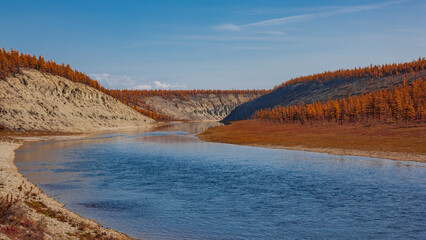 Autumn larch taiga landscape in orange colors combined with blue sky and river water.