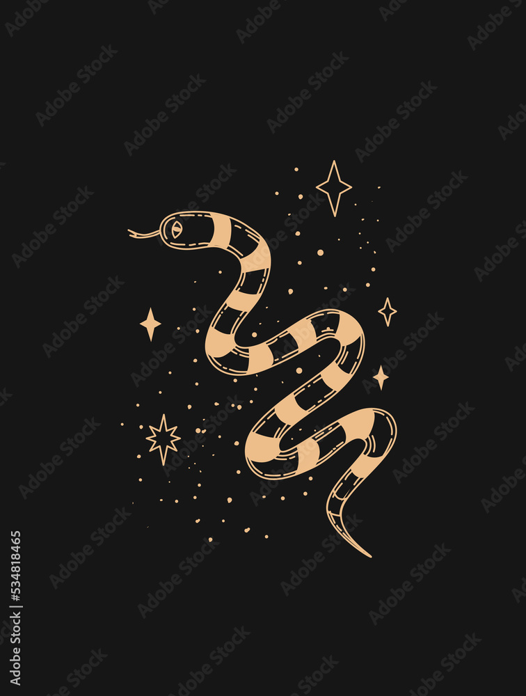 Wall mural magic snake. logo in modern style. snake logo in the starry sky. vector linear icon. boho design tem