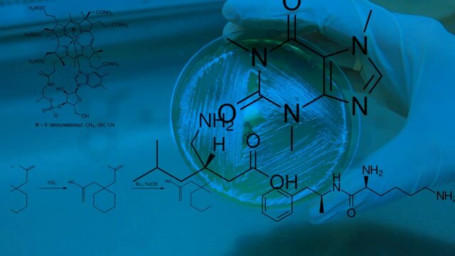 a researcher holds microbiology samples and chemical structures from pharmaceutilcas, vitamins and other compounds appear in an overlay