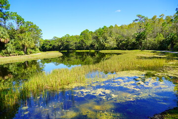 A colorful community pond or lake
