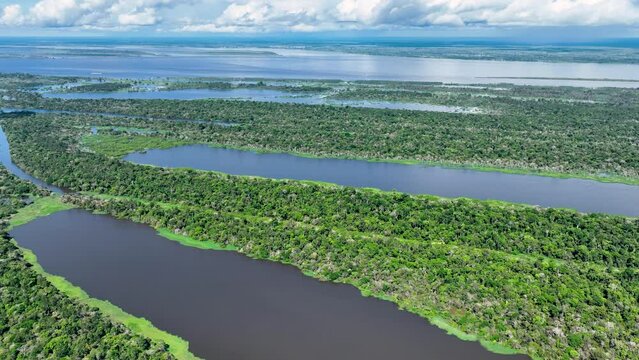 Amazon River At Manaus Amazonas Brazil. Eco Amazonia Amazon River. Green Of Eco Lifestyle. Biodiversity Green Basin. Outdoor Island. Manaus Amazonas Green Scenery