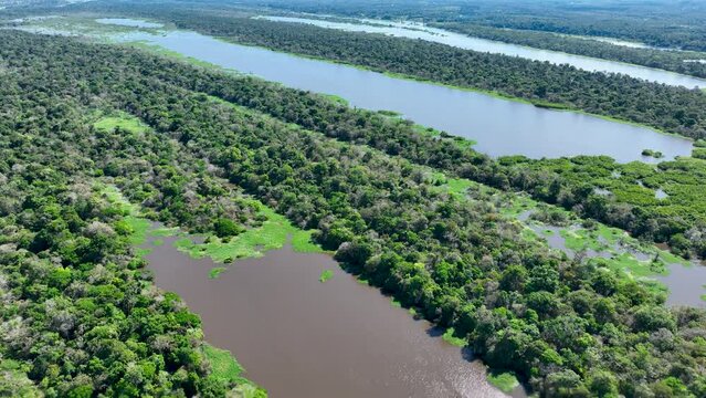Amazon Forest At Manaus Amazonas Brazil. Idyllic Background Summer. Eco Idyllic. Bush Aerial Landscape Tourist. Amazon Outdoors Natural. Manaus Amazonas Forest Trees