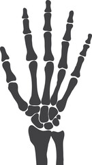 hand bones  black and white human skeleton bone hands