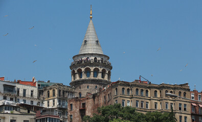 Fototapeta premium Galata Tower İn İstanbul Turkey with seagulls on the around