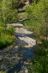 CAMPOS PRIMAVERA CASTILLA